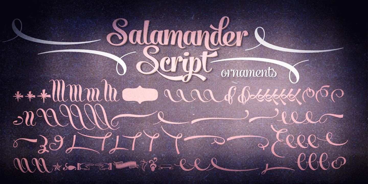 Пример шрифта Salamander #3